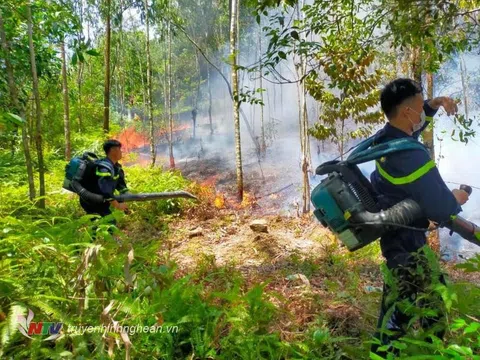 Cháy rừng tràm tại huyện Đô Lương