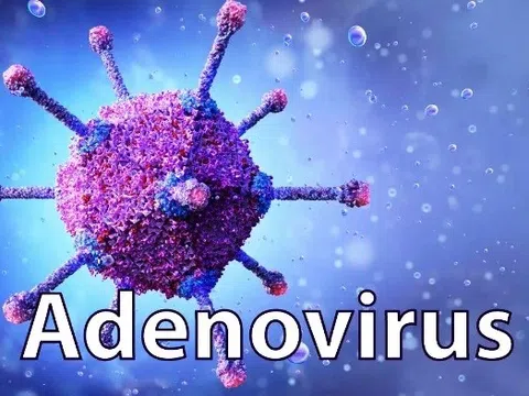 Adeno virus nguy hiểm như thế nào?