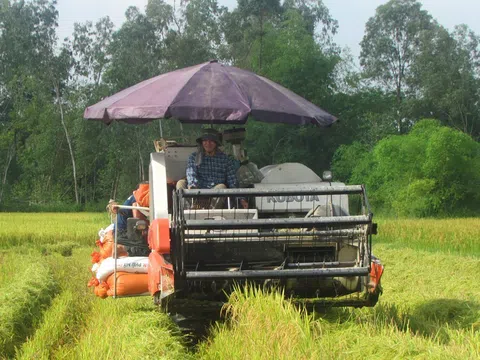 Nghệ An công bố các xã, thị trấn được hỗ trợ phí bảo hiểm nông nghiệp