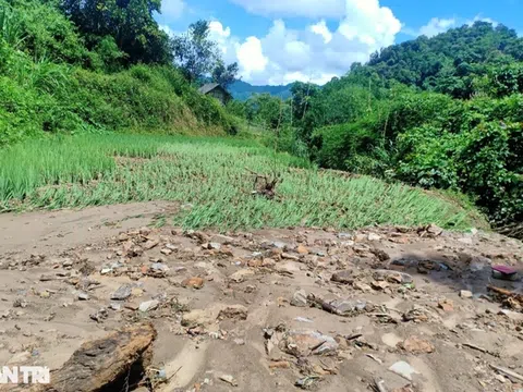 Mưa lũ gây thiệt hại nặng nề ở Nghệ An