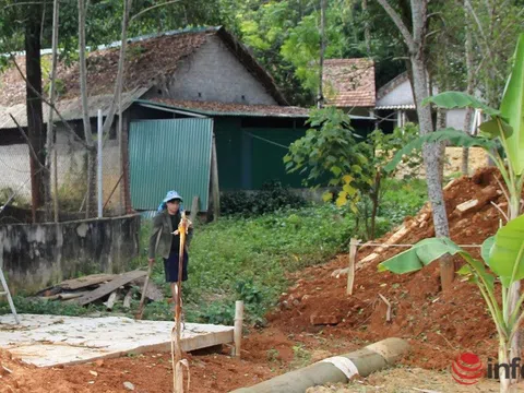 Nghệ An: Hàng xóm khốn khổ phải đi xin nước vì một hộ nuôi lợn làm tràn chất thải ra