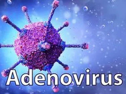 Phòng và điều trị khi nhiễm Adenovirus như thế nào?