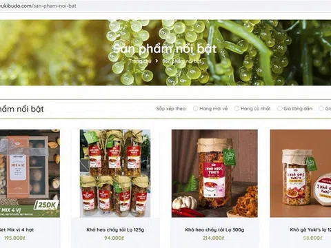 Quản lý thị trường Nghệ An xử phạt 1 website thương mại điện tử