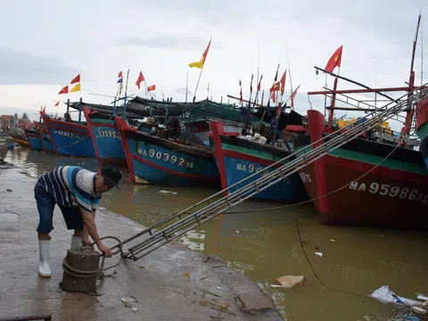 Nghệ An: Chạy đua ứng phó bão NORU: Khẩn trương thu hoạch nông sản, kêu gọi tàu thuyền về bờ