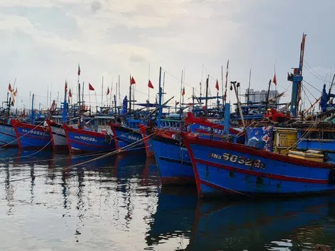 Đà Nẵng: Nghỉ học, nghỉ làm, dừng họp chợ để tránh siêu bão Noru