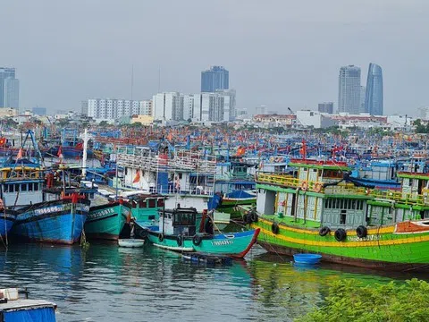 Siêu bão Noru: Đà Nẵng yêu cầu người dân không ra khỏi nhà từ 20h