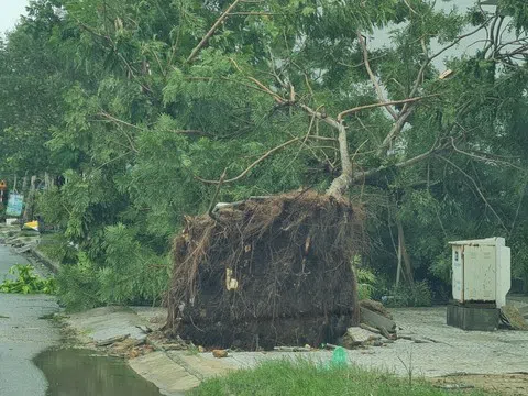 Quảng Nam - Đà Nẵng: Những thiệt hại ban đầu sau bão Noru đổ bộ