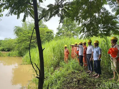 Nghệ An: Còn khoảng hơn 80.000 khách hàng bị mất điện do hoàn lưu bão Noru