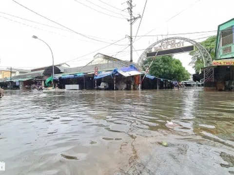 Nước lũ bao vây chợ đầu mối lớn nhất Nghệ An