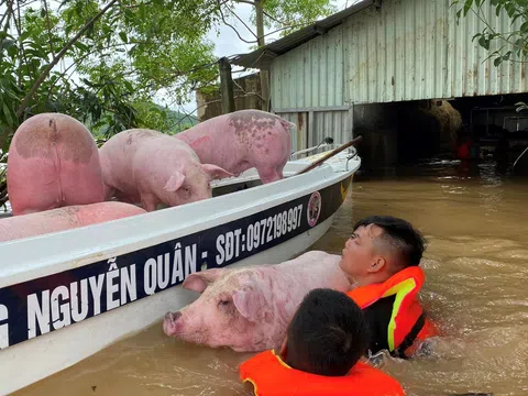 Nghệ An: Ấm lòng tình làng, nghĩa xóm trong mưa lũ