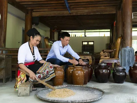 Nghệ An: Sản phẩm OCOP đừng là "chiếc áo may vội"