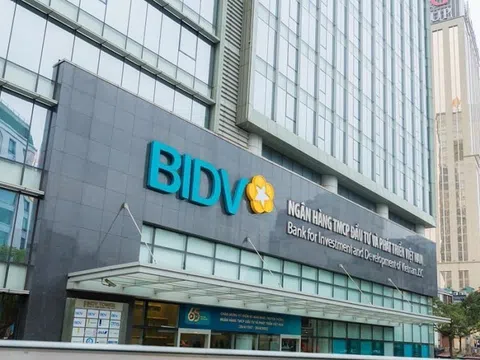 BIDV sắp rao bán khoản nợ 111 tỷ với thế chấp là 4.000 m2 đất và 400.000 cổ phiếu DL1?