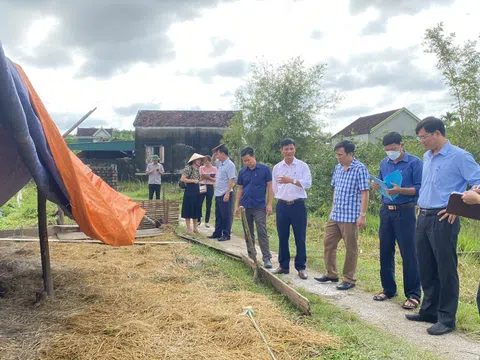 Đoàn công tác liên ngành của tỉnh kiểm tra các biện pháp ngăn chặn ổ dịch cúm gia cầm tại huyện Yên Thành