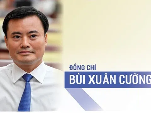 Con đường tiến thân của tân Phó Chủ tịch TP HCM Bùi Xuân Cường