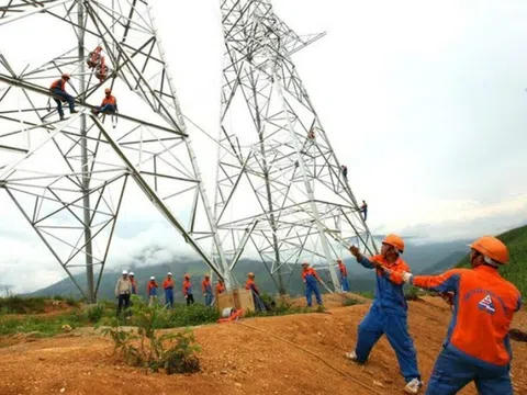 Thoái vốn khỏi SJE, lãnh đạo Sông Đà 11 đồng loạt từ nhiệm