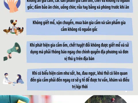 Bộ Y tế yêu cầu tăng cường phòng, chống cúm gia cầm