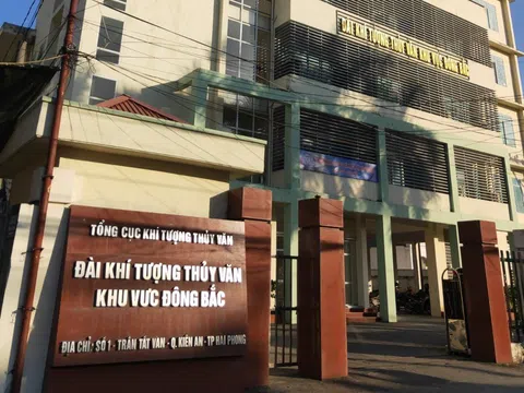 Đài KTTV khu vực Đông Bắc cho thuê đất rừng phòng hộ trái luật?