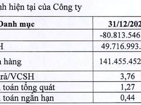 Kinh doanh thua lỗ, Nasco phải bán vốn NCT để có tiền hoạt động