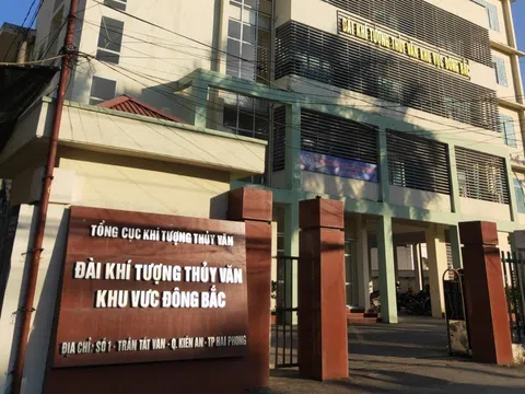 Đài KTTV KV Đông Bắc cho thuê đất rừng phòng hộ: Cố ý làm trái?