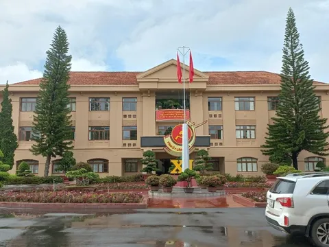 Bí thư TP Đà Lạt và Bảo Lộc sau khi bị kỷ luật xin nghỉ hưu trước tuổi