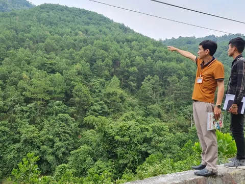 Những dự án làm nghèo miền Tây Nghệ An: [Bài 2] Huyện nghèo 10 năm gồng gánh những dự án "trời ơi đất hỡi"