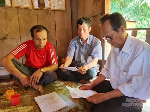 Những dự án làm nghèo miền Tây Nghệ An: [Bài 1] Thanh Thành Đạt gom đất trồng rừng, dân phản ứng kịch liệt