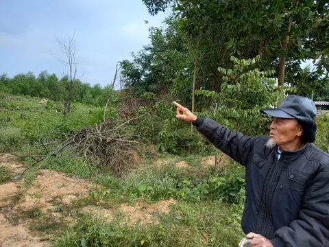 Nghệ An: Đi tìm sự thật mang tên “Giấy chứng nhận quyền sử dụng đất” của Lâm trường Đồng Hợp