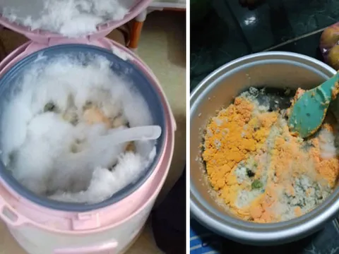 Chùm ảnh thối không thở được với những chiếc nồi cơm điện mốc meo, bốc mùi thum thủm do quên rửa trước nghỉ lễ
