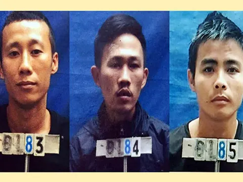 Nghệ An: Bắt ba đạo tặc thực hiện 14 vụ phá hòm công đức trộm tiền