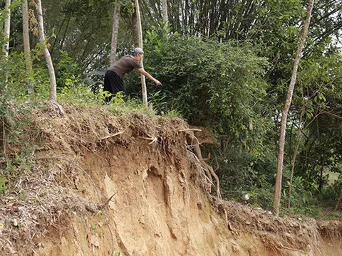 Sông Ngàn Sâu (Hà Tĩnh) "nuốt chửng" vườn dân, uy hi.ếp cầu treo