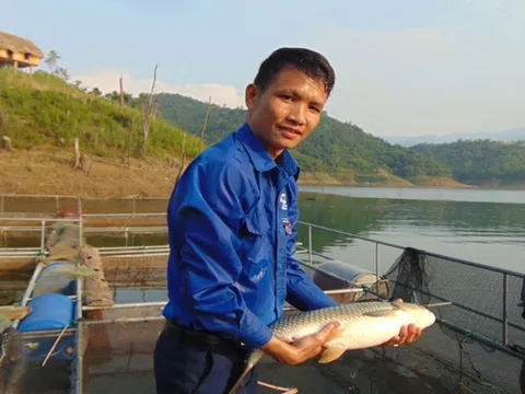 Nghệ An: Bí thư Đoàn xã nuôi cá lồng bè, thu nhập trăm triệu đồng mỗi tháng