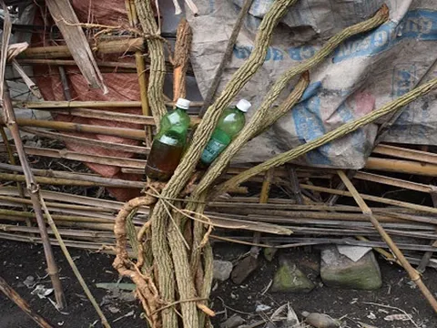 Uống rượu ngâm rễ cây rừng, 2 người ở Bắc Kạn t-ử vo-ng