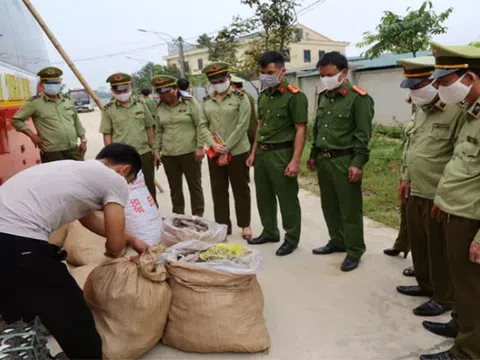 Hà Tĩnh: Thu giữ 700 kg da trâu, bò và 4.000 chiếc khẩu trang không rõ nguồn gốc