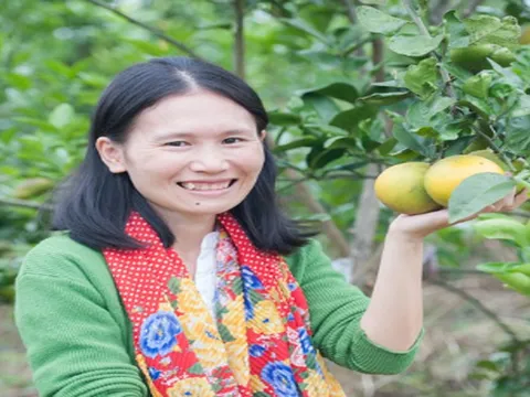 Khởi nghiệp bán hàng online, cô gái xứ Nghệ “vô tình”... có cả làng sinh thái