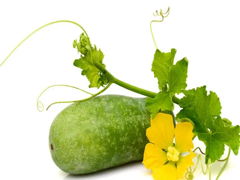 Trà bí đao: Trẻ con và bà bầu có nên uống?