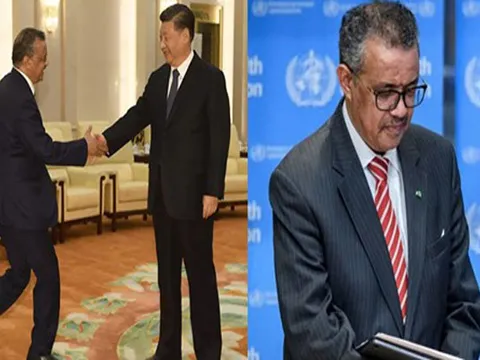 Tổng giám đốc WHO sẽ tự kiểm điểm và rút kinh nghiệm sâu sắc sau vụ việc Covid-19