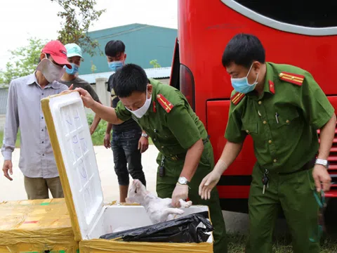 Hà Tĩnh: Bắt giữ gần 2,5 tấn động vật và n-ội tạ-ng động vật đã bốc mùi hôi thối