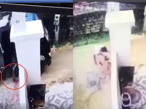 Nghệ An: Khởi tố tài xế lùi xe cán chết bé trai 1 tuổi, giấu xác phi tang