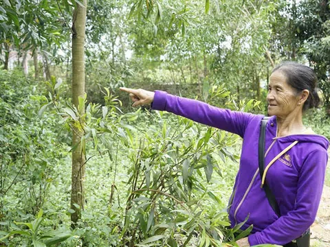 Nghệ An: Chậm nộp tiền cho phường, dân bị tính lãi 1,1 lần