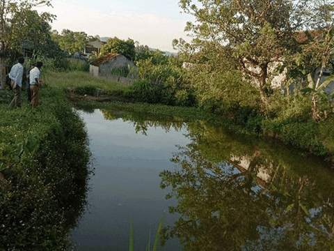 Nghệ An: Rủ nhau tắm ao, hai chị em ruột đuối nước thương tâm dưới ao ông nội