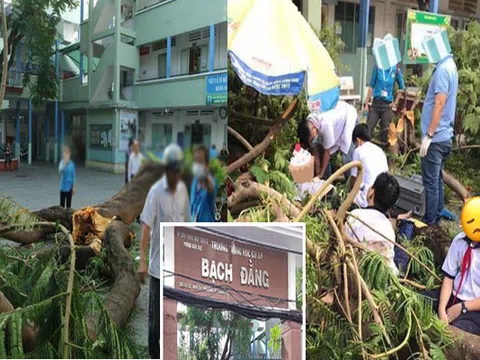 Cây phượng bật gốc lúc sáng sớm khiến gần 30 học sinh bị thương, 1 em đã tử vong