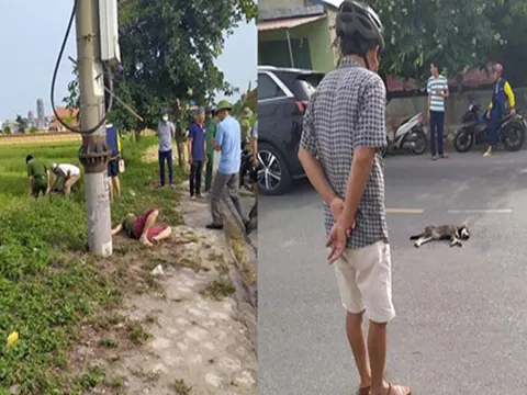 Tông vào chó thả rông trên đường, nam thanh niên nằm bất động: Bao giờ những chủ nuôi mới có trách nhiệm hơn?