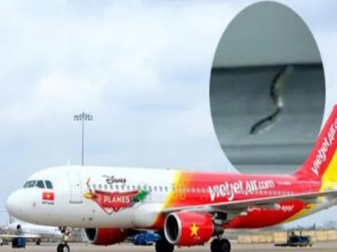 Xuất hiện rắn trên máy bay Vietjet