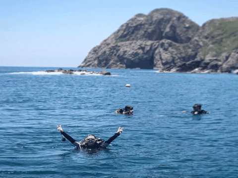 Những trải nghiệm phải thử một lần trong đời khi đến Nha Trang