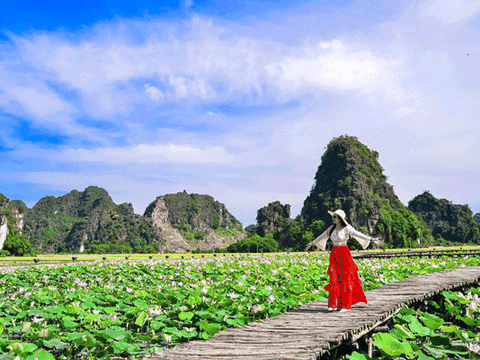 Đầm sen Ninh Bình nở đẹp rực rỡ, chị em lên lịch "bung lụa" cuối tuần