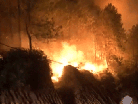 Nghệ An: Cháy rừng ở Diễn An, chính quyền và người dân đang nỗ lực dập lửa trong đêm