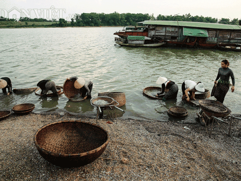 Hà Tĩnh: Cả làng đi thụt lùi đãi "lộc trời" trên sông La