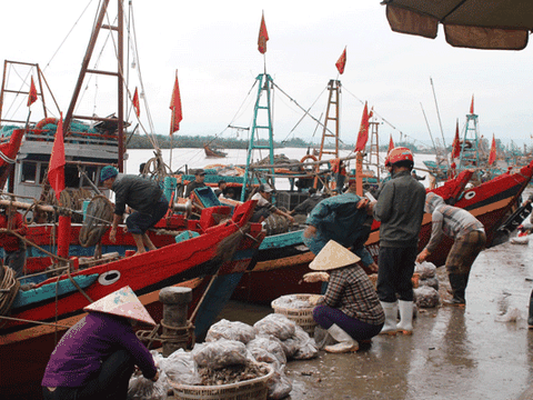 Báo động tình trạng ô nhiễm nghiêm trọng tại cảng cá lớn nhất Nghệ An