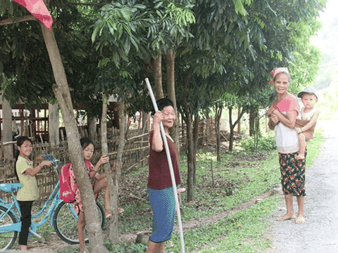 Bài 1: Cuộc khảo sát “lạ kỳ”!