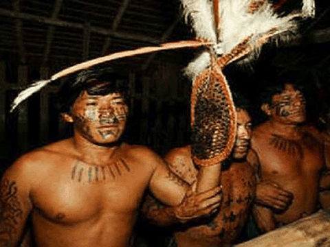 Hoảng hồn tục ăn bao da quy đầu, uống tinh trùng đàn ông